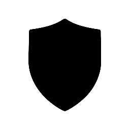 International Cybersecurity